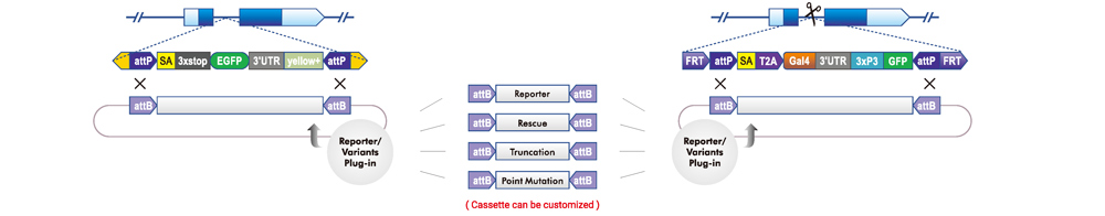 RMCE swap using existing fly tools